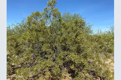 21Acres Saguaro &amp; Agave Road #1, Marana, AZ 85653 - Photo 19