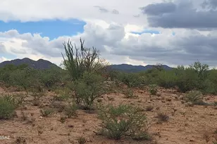 15879 Bolo Pl, Tucson, AZ 85736 - Photo 3