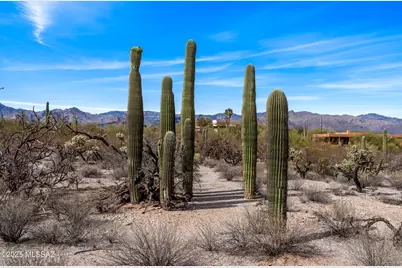 9633 Giant Cacti Drive #14, Tucson, AZ 85749 - Photo 5