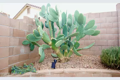 4364 Big Bend Street, Sierra Vista, AZ 85650 - Photo 31