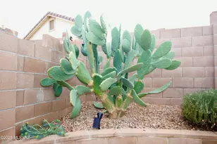 4364 Big Bend St, Sierra Vista, AZ 85650 - Photo 31