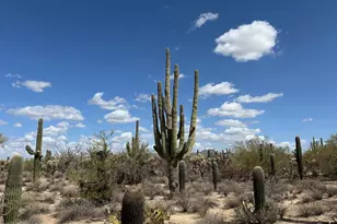 5120 Lambert Ln, Tucson, AZ 85742 - Photo 1