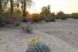 12417 Nolen Rd, Tucson, AZ 85743 - Photo 1