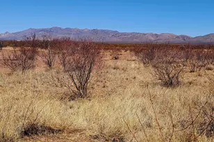 Lot 12/13A Whitaker Ln, Douglas, AZ 85607 - Photo 1