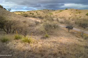 118 Tanglehead Ln, Patagonia, AZ 85624 - Photo 41