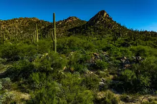 14934 N Slippery Ridge Loop, Tucson, AZ 85755 - Photo 13