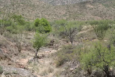 000 Bond Canyon Road #64, Tubac, AZ 85646 - Photo 17