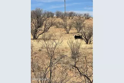 Tbd Fish Canyon, Sonoita, AZ 85637 - Photo 7