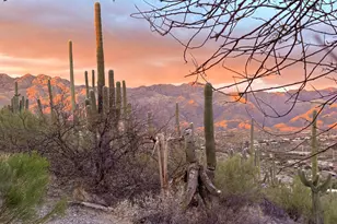 4460 N Trocha Alegre, Tucson, AZ 85750 - Photo 3