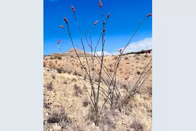 1346 Avenida Gutierrez #61, Rio Rico, AZ 85648 - Photo 9