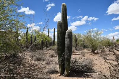 4840 Avenida Corto #6, Tucson, AZ 85745 - Photo 3