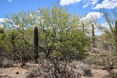 4840 Avenida Corto #6, Tucson, AZ 85745 - Photo 15