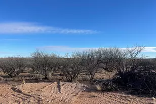 1428 E Roosevelt Rd, Huachuca City, AZ 85616 - Photo 7