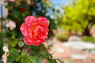 14734 N Burntwood Dr, Oro Valley, AZ 85755 - Photo 31