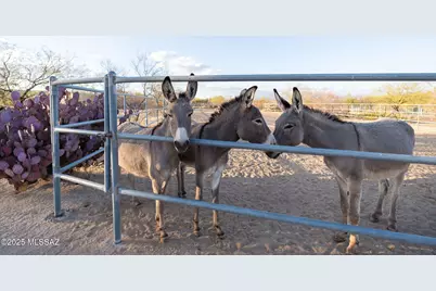 17300 S Camino Cartagena, Sahuarita, AZ 85629 - Photo 43
