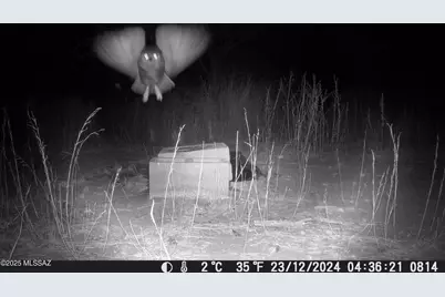 Tbd Harshaw Road #Lot 2, Patagonia, AZ 85624 - Photo 47