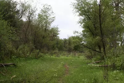 Tbd Paseo Riachuelo #50, Rio Rico, AZ 85648 - Photo 21