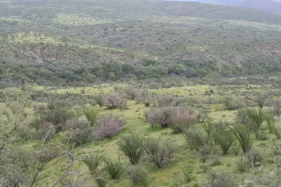 Tbd Paseo Riachuelo #50, Rio Rico, AZ 85648 - Photo 17