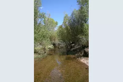 Tbd Paseo Riachuelo #50, Rio Rico, AZ 85648 - Photo 3