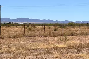 13384 S Cottonwood Rd, Pearce, AZ 85625 - Photo 41