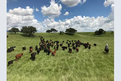 000 Forest Road 4748 Road, Patagonia, AZ 85624 - Photo 31