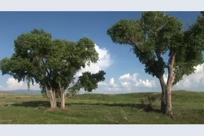 000 Forest Road 4748 Road, Patagonia, AZ 85624 - Photo 15