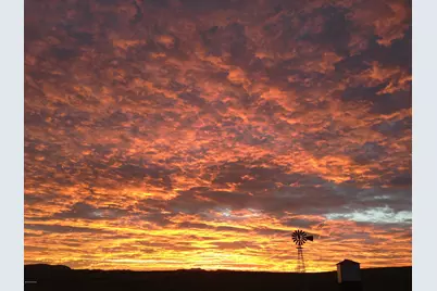 000 Forest Road 4748 Road, Patagonia, AZ 85624 - Photo 21