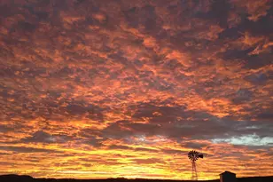 000 Forest Road 4748 Rd, Patagonia, AZ 85624 - Photo 21