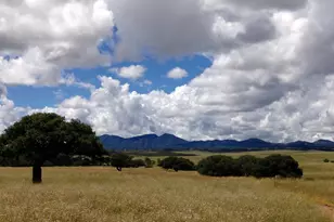 000 Forest Road 4748 Rd, Patagonia, AZ 85624 - Photo 9