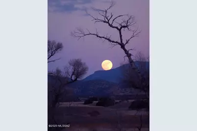 000 Forest Road 4748 Road, Patagonia, AZ 85624 - Photo 37