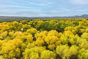 45 Clark Crossing Rd, Tubac, AZ 85646 - Photo 47