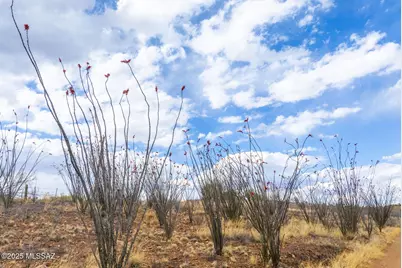 21 Ranchero Court, Patagonia, AZ 85624 - Photo 11