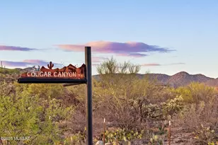 2676 Cougar Canyon Trail, Tucson, AZ 85755 - Photo 1