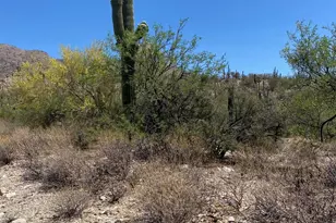 5236 Mesquite Canyon Pl, Tucson, AZ 85749 - Photo 5