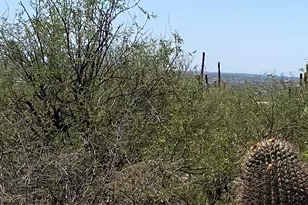 5236 Mesquite Canyon Pl, Tucson, AZ 85749 - Photo 9