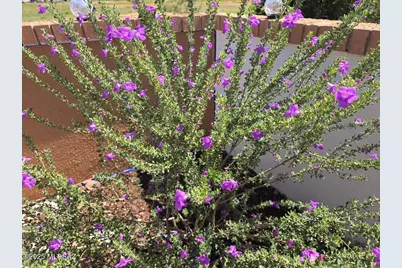 229 N Tracy Road, Pearce, AZ 85625 - Photo 15