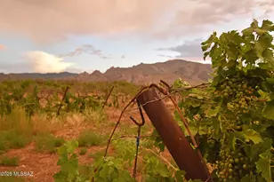 1203 N Cochise Stronghold Rd, Cochise, AZ 85606 - Photo 29