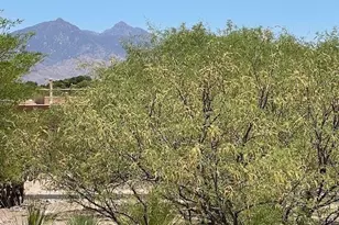 253 Market Cir, Tubac, AZ 85646 - Photo 7