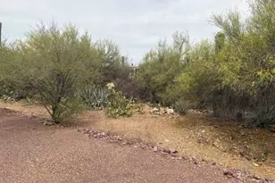 3503 S Rose Gold Ave, Tucson, AZ 85735 - Photo 3