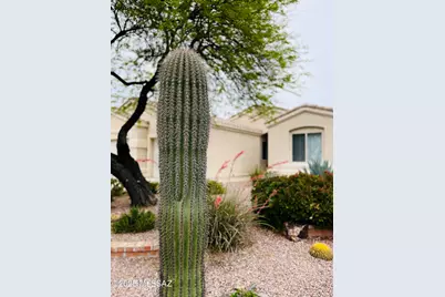 371 W Sacaton Canyon Drive, Oro Valley, AZ 85755 - Photo 47