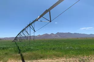 3515 W Gleeson Rd, Elfrida, AZ 85610 - Photo 5