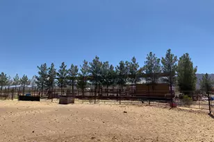 3515 W Gleeson Rd, Elfrida, AZ 85610 - Photo 31