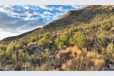 1779 E Barrell Cactus Court, Tucson, AZ 85718 - Photo 9