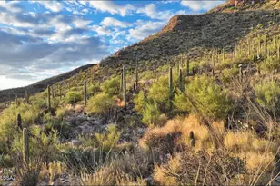 1779 E Barrell Cactus Ct, Tucson, AZ 85718 - Photo 9