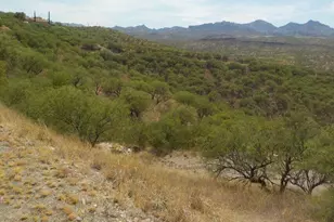 474 Camino Providencia, Rio Rico, AZ 85648 - Photo 1