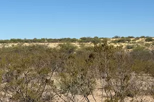 1268 Cougar Trail, Saint David, AZ 85630 - Photo 5