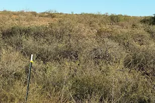 1268 Cougar Trail, Saint David, AZ 85630 - Photo 9