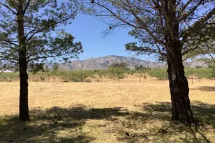 311 W Kaibab Way, Cochise, AZ 85606 - Photo 39