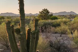 9745 N Calle Loma Linda, Oro Valley, AZ 85737 - Photo 37