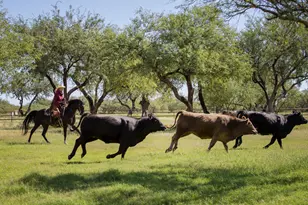 [Address not provided], Amado, AZ 85645 - Photo 7